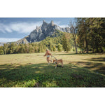 Product thumbnail 11 of 14