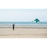 Product thumbnail 14 of 14