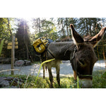 Product thumbnail 13 of 13