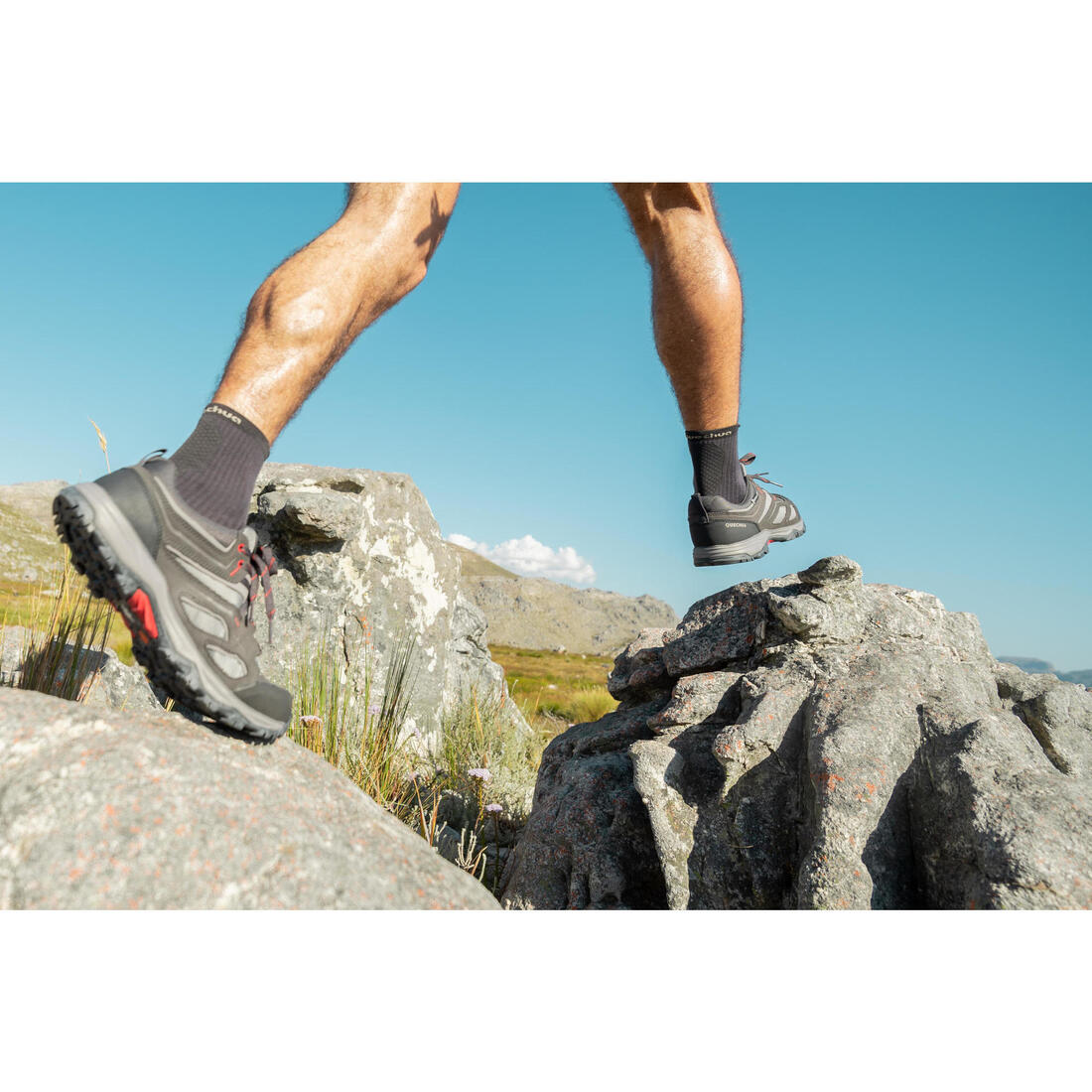 IMG_8503796_9