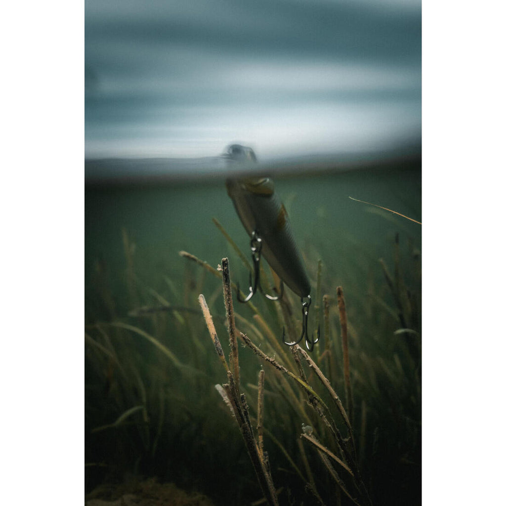 IMG_2069231