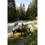 Product thumbnail 11 of 13