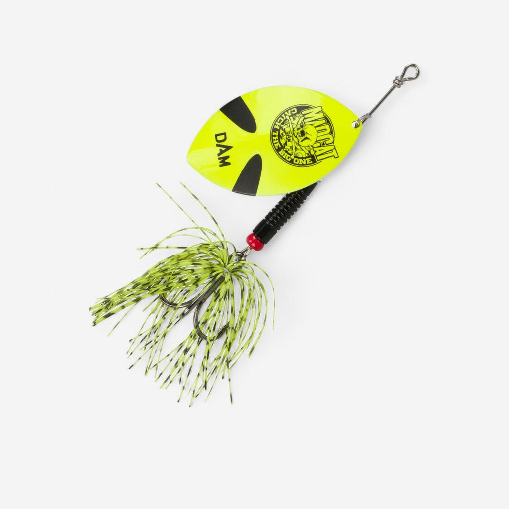 IMG_1582778