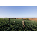 Product thumbnail 6 of 11