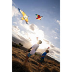 Product thumbnail 8 of 10