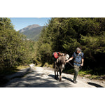 Product thumbnail 17 of 20