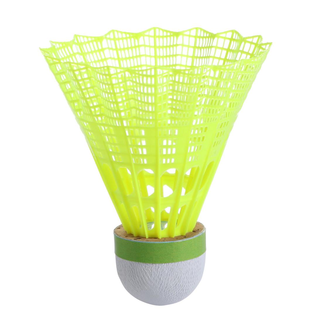 IMG_1605556